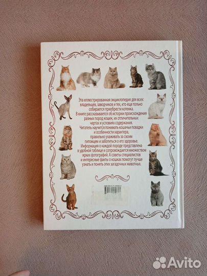 Книга Большая энциклопедия кошек Смирнов Д. С