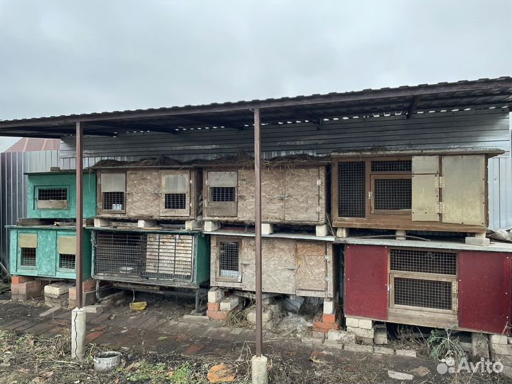 Крольчатник