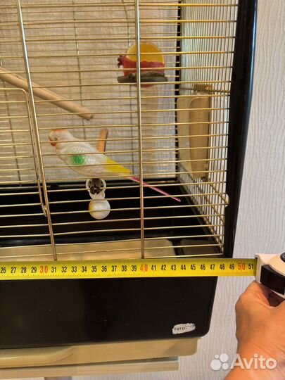 Клетка для птиц