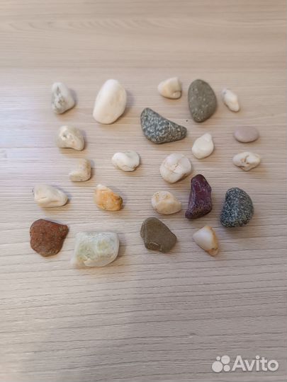 Морской побережный камень