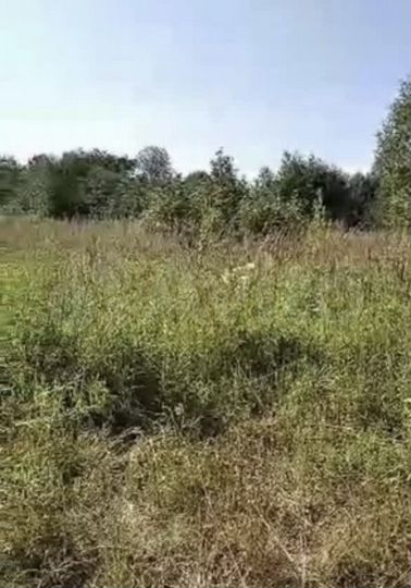 Участок 17 сот. (ИЖС)