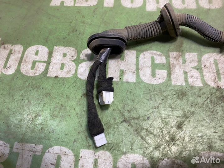 Проводка двери передняя правая Nissan Teana J31