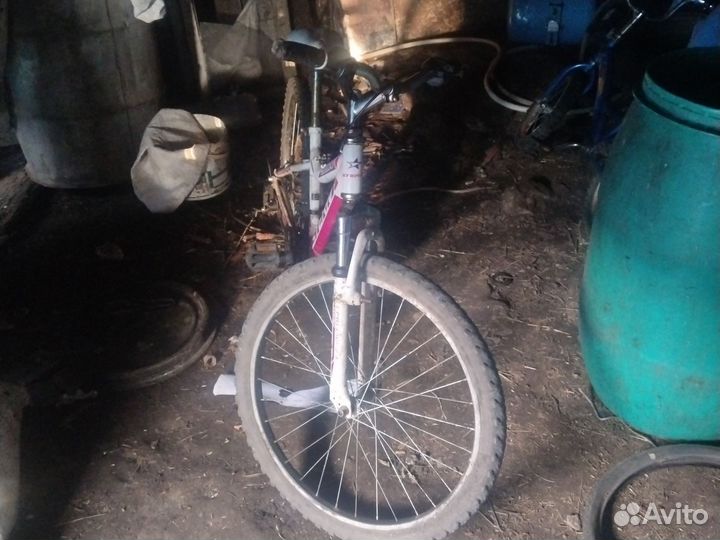 Полности одам