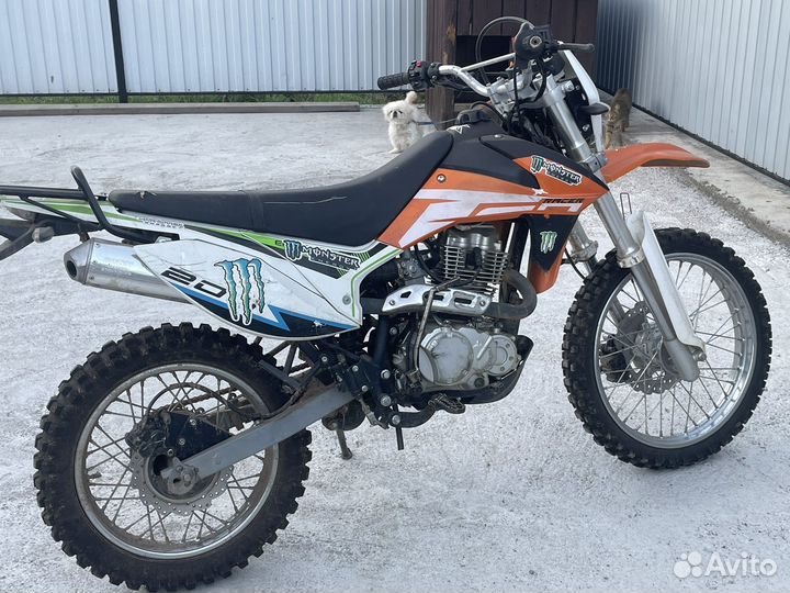 Racer enduro 200 с птс