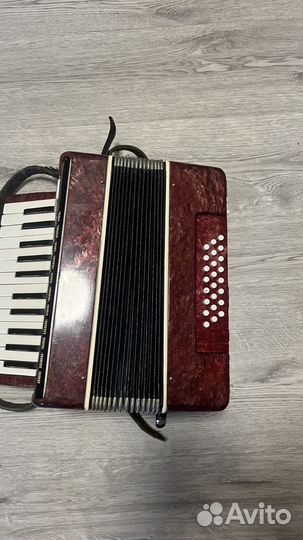 Аккордеон