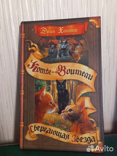 Коты-Воители