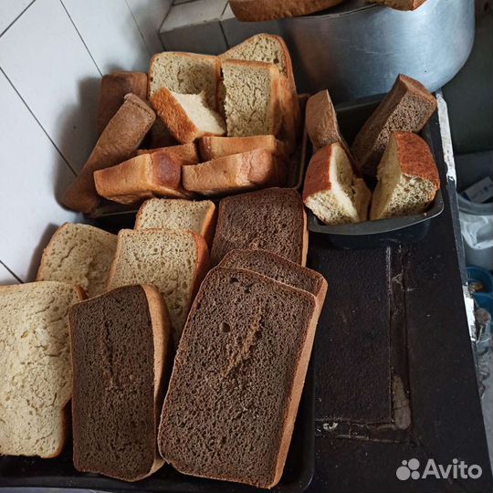 Товары для животных