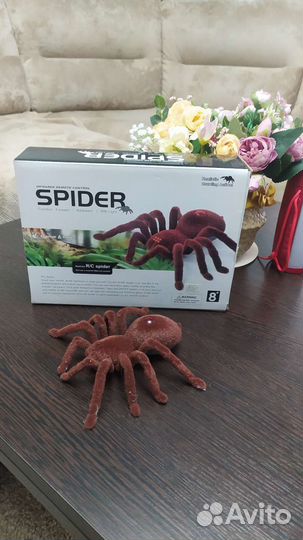 Паук игрушка