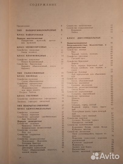 Дикорастущие лекарственные растения СССР