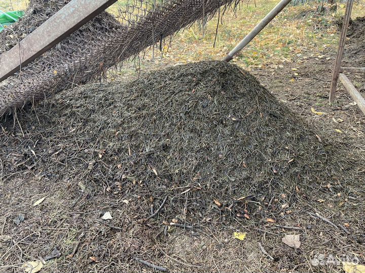 Мульча, пихтовые лапки