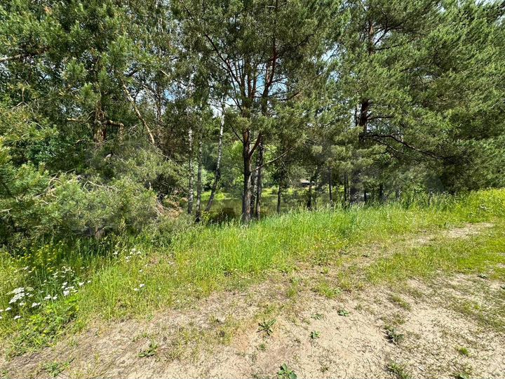 Участок 10 сот. (ИЖС)