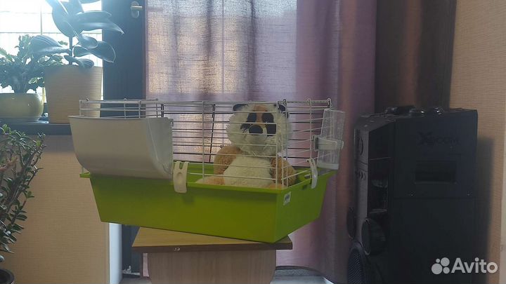 Клетка для кролика и грызунов