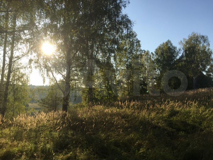 Участок 1,18 га (СНТ, ДНП)