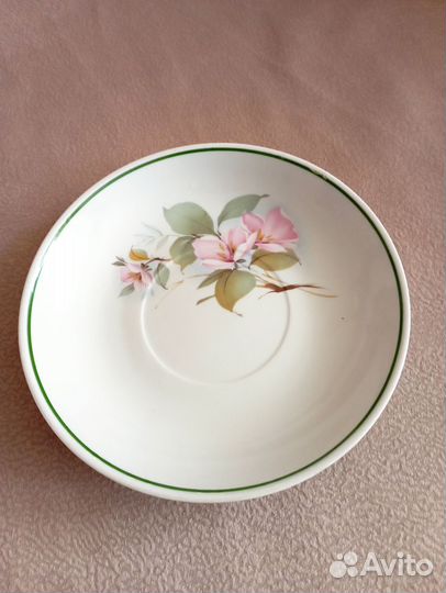 Блюдце - гигант , Вербилки , СССР