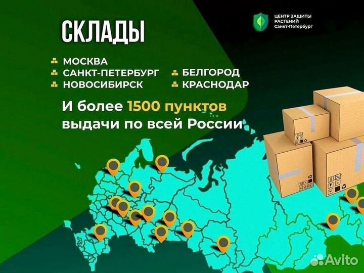 Энкарзия формоза (Encarsia formosa) от белокрылки