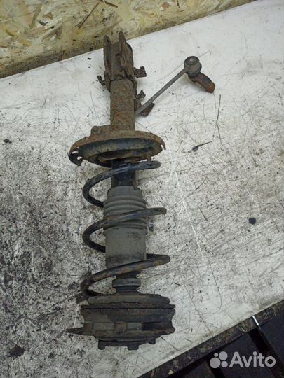 Стойка подвески передняя левая Nissan Note минивэн