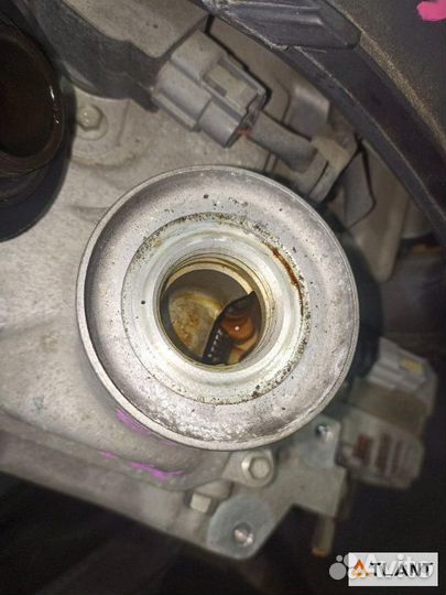 Двигатель nissan note