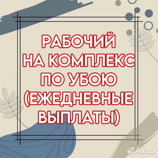 Рабочий на комплекс по убою(ежедневные выплаты)