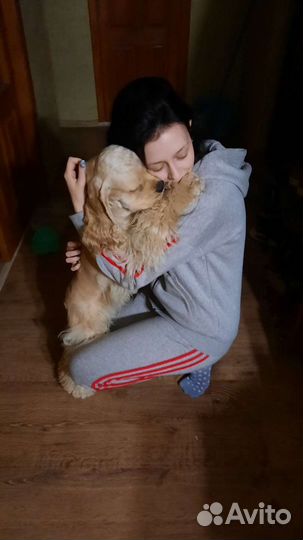 Передержка животных