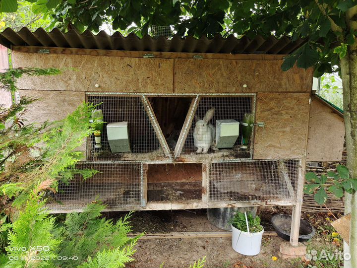 Клетка для кролика