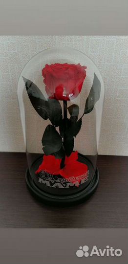 Роза в колбе