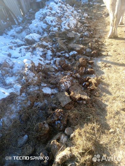 Продам Навоз в мешках