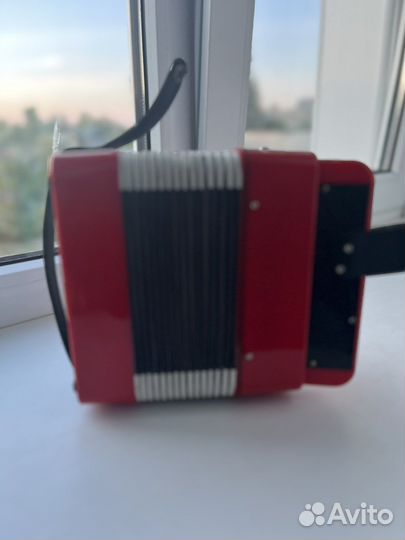 Детский Аккордион /гармошка cb sky