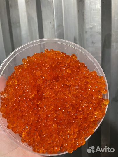 Икра кеты