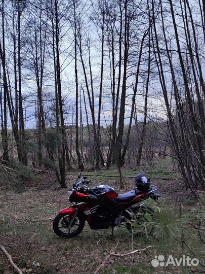 Мотоцикл рейсер