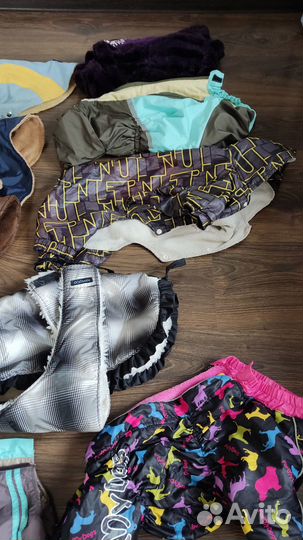 Одежда для собак