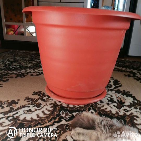 Кашпо для цветов