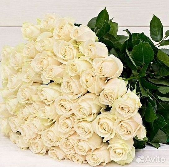 Высокие розы Гигантские розы 110