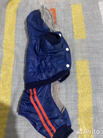 Дождевик для средней собаки