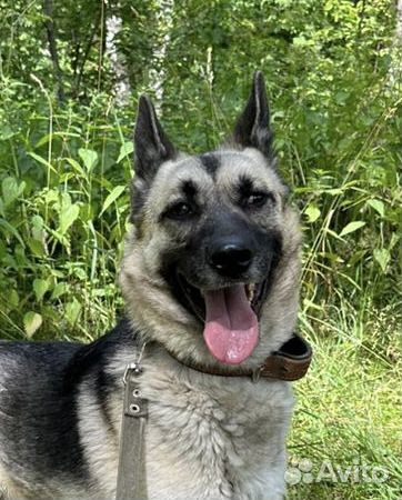 Молодой Красивый Умный паренек из приюта