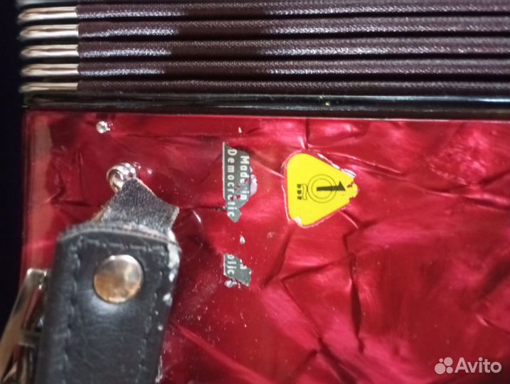 Баян weltmeister grandina