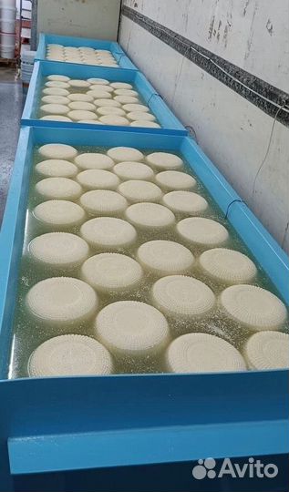 Ванны для сыра