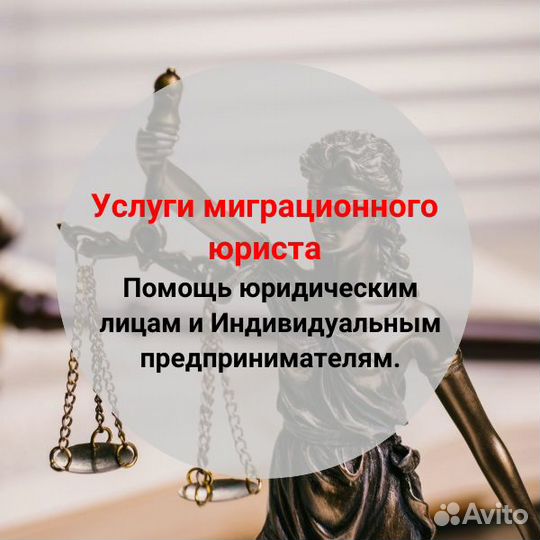 Миграционный юрист