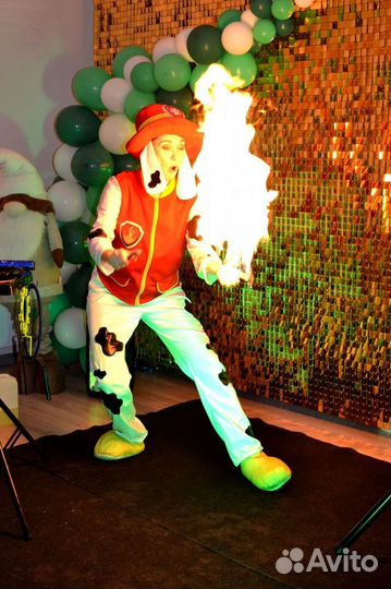 Аниматоры, ростовые куклы, шоу программы, звёзды