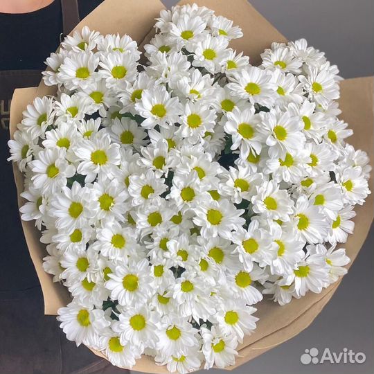 Хризантемы Цветы Букет с доставкой Москва