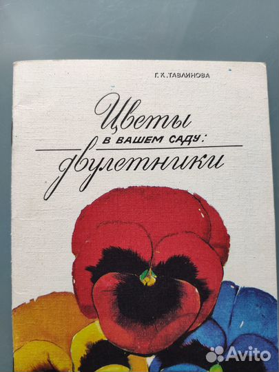 Приусадебный цветник,двулетники, гладиолусы