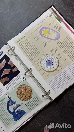 Галилео коллекция развивающих детских журналов