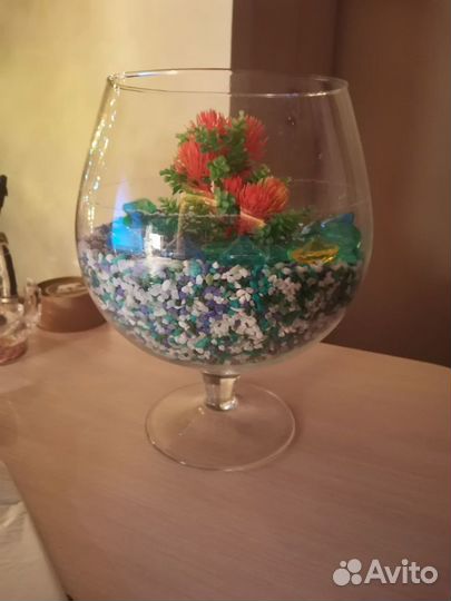 Стеклянный круглый мини аквариум для рыб, 3 литра