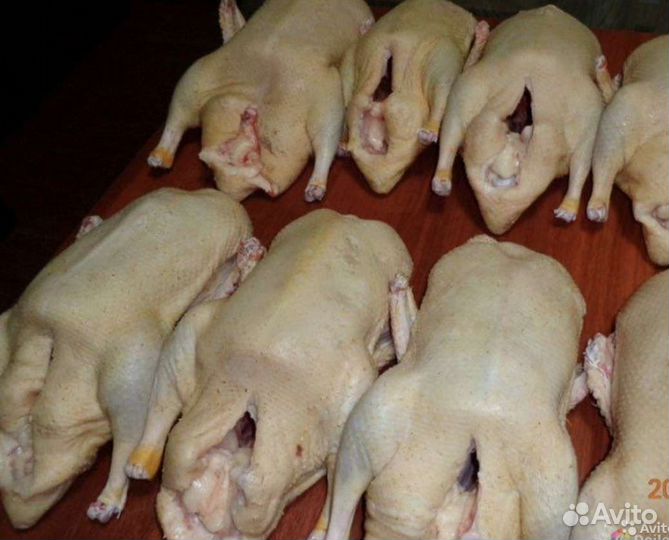 Мясо домашней птицы