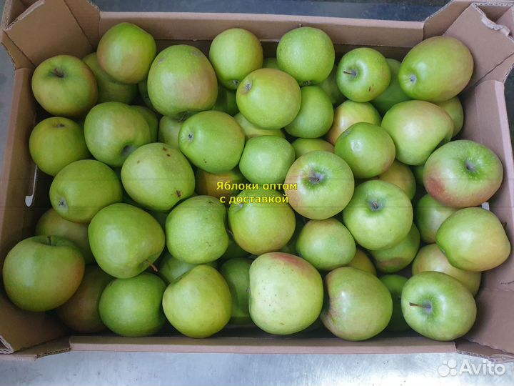 Яблоки оптом с доставкой