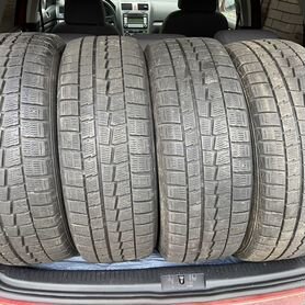 Dunlop Winter Maxx 205/55 R17