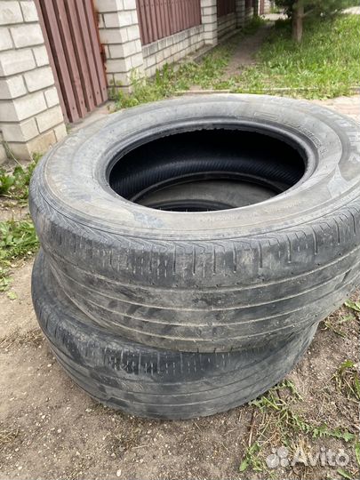 Шинылетние r17