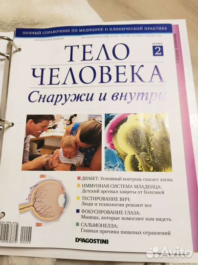 Deagostini Тело человека, Художественная галерея