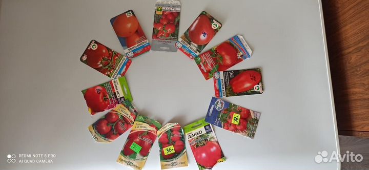 Рассада помидор