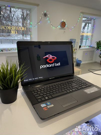 Ремонт компьютеров и ноутбуков на дому и в сервисе