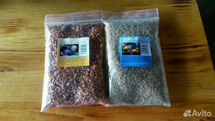 Замороженные и сухие корма для рыб